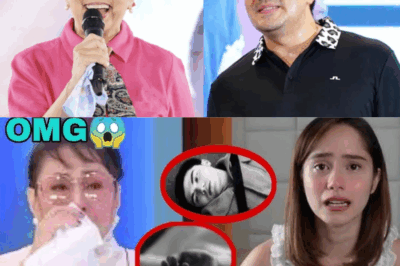 The Truth Exposed: Vilma Santos Finally Breaks Silence on the Mysterious Disappearance of Luis Manzano! 😱💔