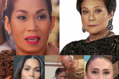 “Hindi Kami Si Nora Aunor!” — Pokwang at AiAi Binatikos sa Kakulangan ng Ganda at Talento, Pero Mas Matapang ang Sagot Nila!