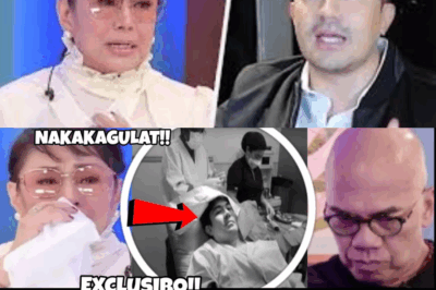 Health Scare Shocks Showbiz: Luis Manzano Hospitalized – Vilma Santos Breaks Down, Calls for Help!