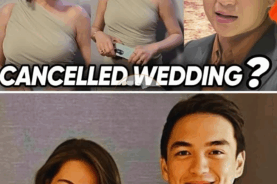The Whole Truth Behind the Canceled Wedding of Bea Alonzo and Dominic Roque!