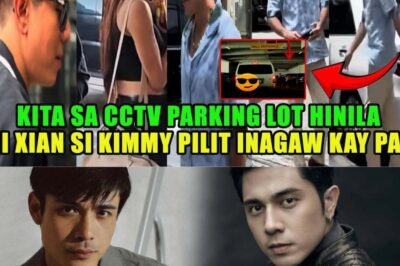Shocking CCTV Footage Unveils the Altercation Between Xian Lim and Paulo Avelino: A Deep Dive into the Viral Incident and Its Aftermath (NH)