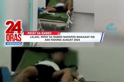 [REPORTAJENG ESPESYAL] Isang Buhay ang Nasawi Dahil sa Rabies: Paano Nangyari at Paano Maiiwasan? (NH)