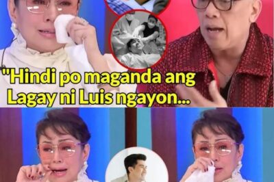 VILMA SANTOS HUMlHINGl NG DASAL PARA SA ANAK NIYANG SI LUIS MANZANO MATAP0S NA MA0SPITAL NITO! (NH)