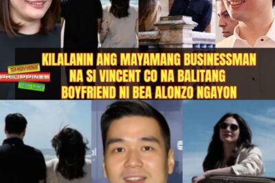 Kilalanin ang mayamang businessman na si Vincent Co na balitang boyfriend ni Bea Alonzo ngayon (NH)