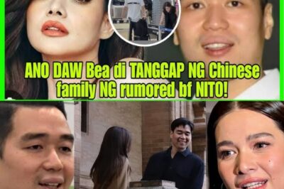 Bea Alonzo and Vincent Tinakas: Clarifying the Rumored Relationship and Family Reception (NH)