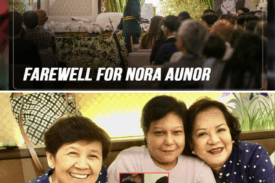 May tinatagong lihim si Nora Aunor sa loob ng maraming taon—at ngayon, isang dating kaibigan ang lumabas at isinapubliko ito! Ano kaya ang katotohanang ikinubli niya hanggang sa kanyang huling hininga?