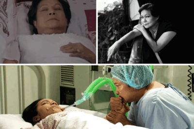 Everyone Shocked: Nora Aunor’s Surgery Was a Success—But What Truly Caused Her Death at 71? 💔🕯️