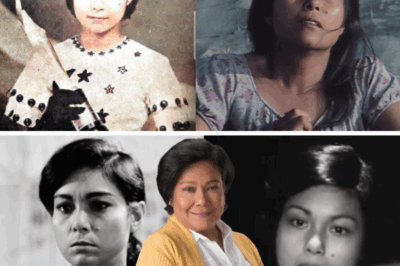 “This Letter Changed Everything: What Christopher Found Beneath Nora Aunor’s Blanket!”