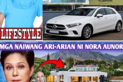 UNBELIEVABLE! Nora Aunor’s Hidden Billions Finally Revealed After Her Passing – Even Her Closest Family Had No Idea How Massive Her Secret Fortune Was! (an)