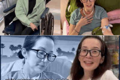 Kris Aquino’s Struggles: “Cancer-Free, But Three Diseases Could End My Life”