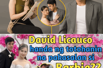 BarDa’s Love Story Enters a New Chapter: David Proposes to Barbie