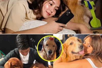 KathDen’s Love Story Takes a Heartwarming Turn—But the Dog Alden Gave Kathryn Held a Painful Secret