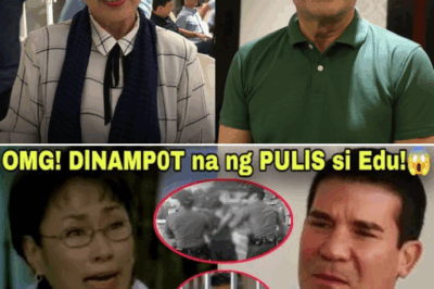 Vilma Santos Files Lawsuit Against Edu Manzano Over Alleged Wrongdoing Involving Luis Manzano