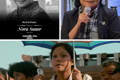 “NAKAKASAKIT SA PUSO: Christopher De Leon, umamin na halos mawalan ng pag-asa sa ginawa ni Leon!”