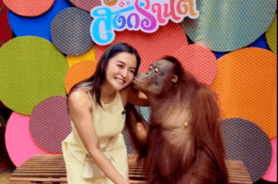 Unforgettable Encounter: Kris Bernal’s Intimate Hug with an Orangutan Leaves Fans Speechless