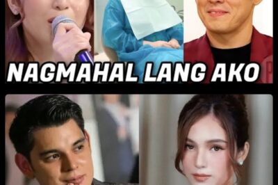 Nakakagulat na pahayag ni Barbie Imperial tungkol sa balitang pagbubuntis kay Richard Gutierrez, maraming tanong lumitaw