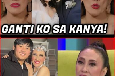 Matinding galit ni AiAi Delas Alas matapos hiwalayan, binalak bawiin ang green card ni Gerald Sibayan ngayon.