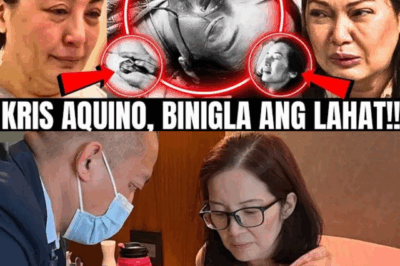 Kris Aquino’s Bold Surprise Shakes the Industry: No One Saw It Coming