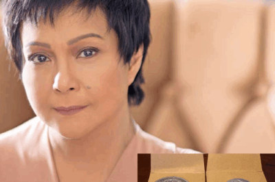 Grabe! Noong Malapit Nang Sumuko si Nora Aunor, Isang Maliit na Bagay ang Nagpaalala sa Kanya ng Laban—Galing Lang Pala sa Ilalim ng Kama!