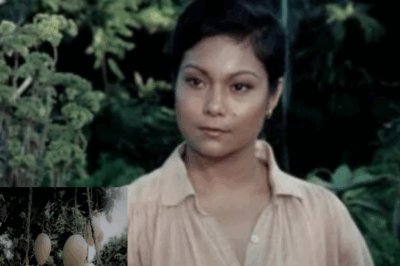 Sobrang Shock! Nora Aunor, Nahuling Umaakyat Pa Raw ng Puno ng Mangga Para sa Kanyang Pamangkin—Kahit Superstar na Siya!