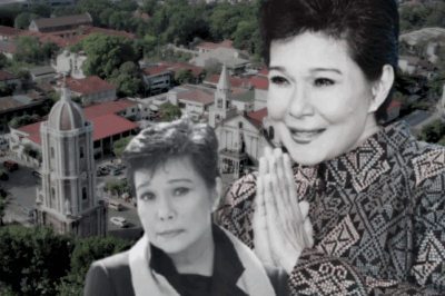 Grabe! Desidido na si Nora Aunor na Tumuloy sa Plano—Hanggang Sa Dumating ang Liham Mula sa Isang Tagahanga sa Iloilo na Hindi Niya Kailanman Nakilala!