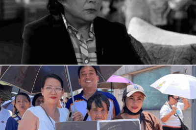 Sobrang Shock! Isang Gabing Puno ng Luha: Paano Nailigtas ni Nora Aunor ang Isang Tagahanga sa Pinakamadilim na Sandali ng Buhay Nito?