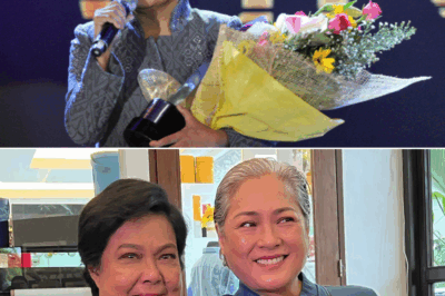 Grabe! Isang Guro sa Probinsya, Nagbago ang Buhay Dahil Lamang sa Isang Awitin ni Nora Aunor—Paano Nangyari ang Himala?