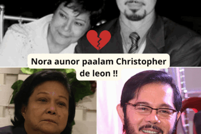 Nakakagulat na kwento! Ang sikreto sa likod ng hiwalayan nina Nora Aunor at Christopher de Leon ay isang emosyonal na bagyong hindi pa nabubunyag noon!