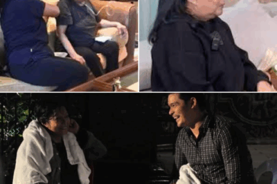 Nakakagulat! Isang Tahimik na Lugar sa Ilalim ng Puno, Doon Pala Nabuo ang Mga Linyang Nagpaiyak sa Buong Bansa—Sa Tulong ni Nora Aunor!