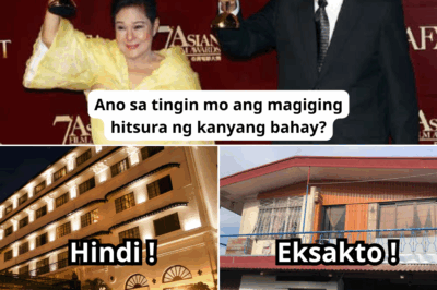 Nakakagulat! Bakit mas pinili ni Nora Aunor ang isang simpleng bahay kaysa sa mansyon? May kwento pala sa likod nito na ikaiiyak mo!
