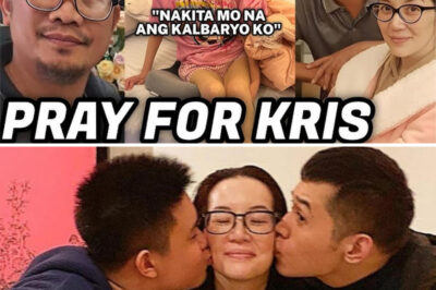 Kris Aquino’s Struggles: A Friend Reveals the Pain Behind the Smile (an)