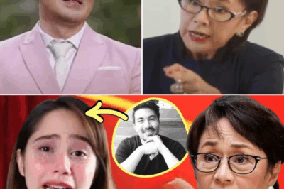 💔 Jessy Mendiola, ibinunyag ang totoong sinasaktan siya ni Luis Manzano! 😡 Vilma Santos pumalag!