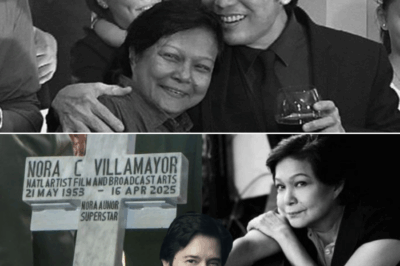 Matagal nang nakatago ang LIHIM! Sa likod ng tagumpay ni Nora Aunor, may isang KATOTOHANANG pilit niyang inilihim sa loob ng maraming taon…