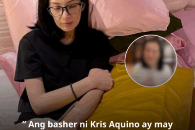Lahat ng mata ngayon ay nakatutok kay Kris Aquino nang isiwalat ang pangalan ng taong bumato sa kanya ng masasakit na salita.