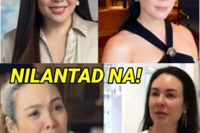 Claudine Barretto Opens Up: A Candid and Insightful Revelation About Gretchen Barretto (NH)