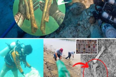 💥 Chilling Discovery in Taal Lake: Could These Bones Belong to the Missing Sabungeros? Forensic Tests Underway After Shocking Underwater Find Leaves Families in Tears 😱🦴