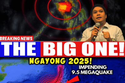 Warning! Mega Earthquake May Strike Soon: Manila Trench Shows Signs of Dangerous Activity (an)