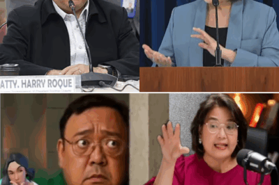 Atty Claire Binulaga si Roque sa Live Debate: Imahe Bilang Legal Expert Tuluyang Gumuho sa Harap ng Publiko!