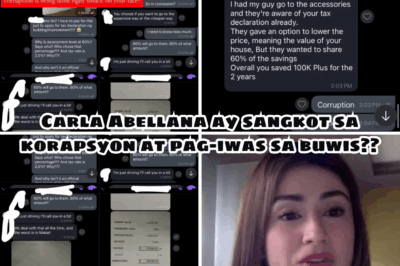 The Silent Burden: Why Tax Corruption Hurts Every Filipino, As Carla Abellana Speaks Out