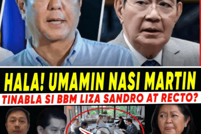 Paglaglagan ng mga Sangkot: Ang $100 Bilyong Eskandalo ng Korapsyon na Gumigimbal sa Pamilya Marcos Jr. at Naglantad ng Katotohanan sa Likod ng Presyo ng Bilihin