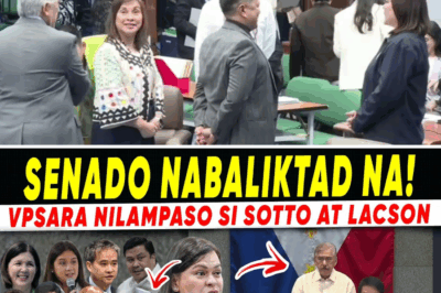 Pagdagsa ng Suporta sa Senado para kay VP Sara, Nagpahiwatig ng 2028 War: Ang Badyet ng OVP at ang Exit Strategy ng Gobyerno Laban sa Lumalalang Korapsyon