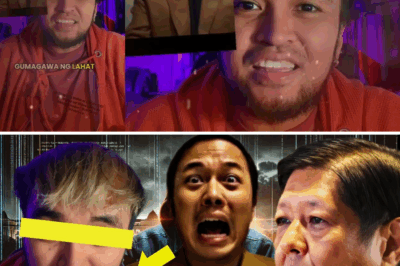 100% AI: Ang “Lutang na Kilay” at Tuwid na Anino Bilang Signature Error—Ibinunyag ng IT Expert na Gawa-Gawa Lang ang mga Video ni Zaldico