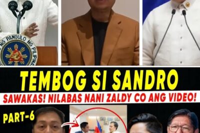 PAGYANIG SA PALASYO: Ang Viral na Video at mga Dokumento ni Zaldy Co na Nag-uugnay kay Sandro Marcos sa 50 Bilyong Pisong Isyu