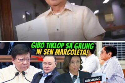 Senate Hearing Erupts into Chaos as Defense Chief is Publicly Humiliated by Lawmaker While Shocking New Details Emerge Regarding the Former President’s Possible Surrender and Interim Release Plan