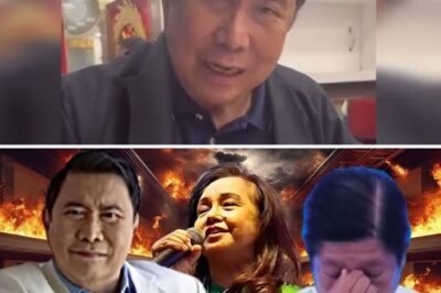 DIVINE INTERVENTION OR INTEL? Mon Tulfo Exposes the Chilling Details of a Thwarted ‘November 30’ Conspiracy That Almost Changed the Fate of the Presidency Forever