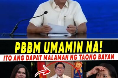 SHOCKWAVES AT THE PALACE: President Marcos Jr. Reportedly Makes Stunning Admission Amidst Intensifying Rift with VP Sara Duterte, Leaving the Administration in Total Disarray