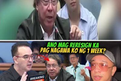 Legislative Chaos Erupts: Senator Explodes in Anger Over Health Fund Mishandling While Shocking P10 Billion Budget Demand for Alleged ‘Corrupt Practices’ Sparks National Outrage