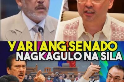 Nagbabadya Bang Maganap ang Isang Tahimik na Pag-aaklas sa Senado? Mga Pangalan, Posisyon, at Sekreto—Unti-unting Lumalantad