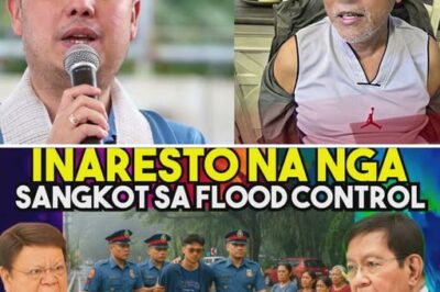 JUSTICE FINALLY ARRIVES: NBI Agents Execute High-Stakes Raid Using Battering Rams to Capture Elusive Official Linked to Massive Multi-Billion Infrastructure and ‘Flood Control’ Syndicate Hiding in Politician’s Mansion