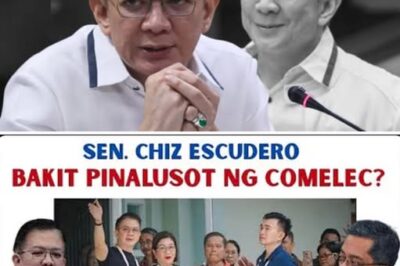 SHOCKING LEGAL TWIST: Senate President Chiz Escudero and Controversial Contractor Officially CLEARED in Massive ₱30 Million Campaign Fund Scandal—Is This Justice or Just Another Loophole?
